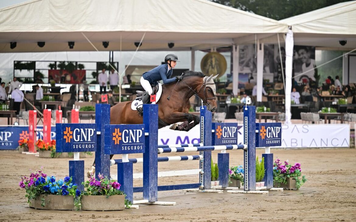Global Horse Trading